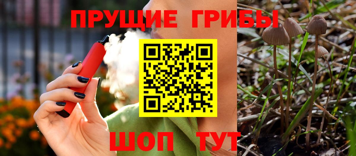 Псилоцибиновые грибы Cubensis Азнакаево