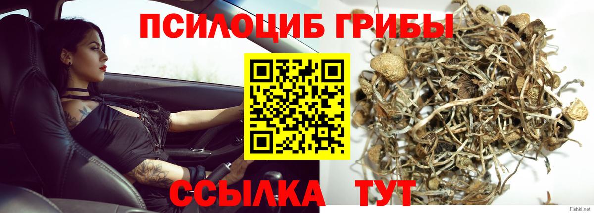 наркотики  Вход с VPN  Азнакаево  Галлюциногенные грибы GOLDEN TEACHER 